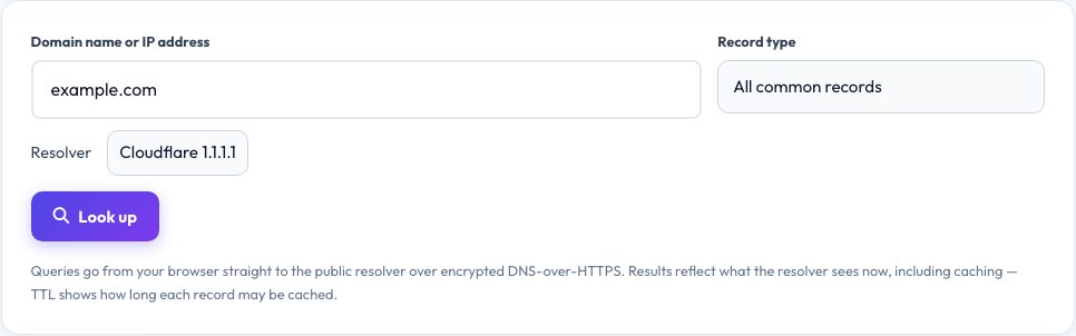 Screenshot of the free DNS Lookup tool on AZRS QuickFix